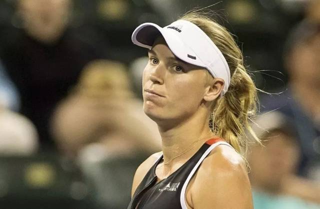 了一份值得 了一份值得